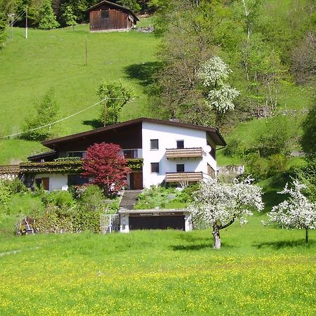 Sonnenhaus Sander Schruns Exteriör bild
