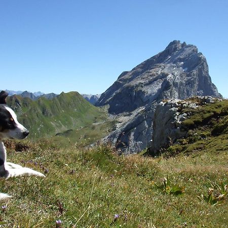 Sonnenhaus Sander Schruns Exteriör bild
