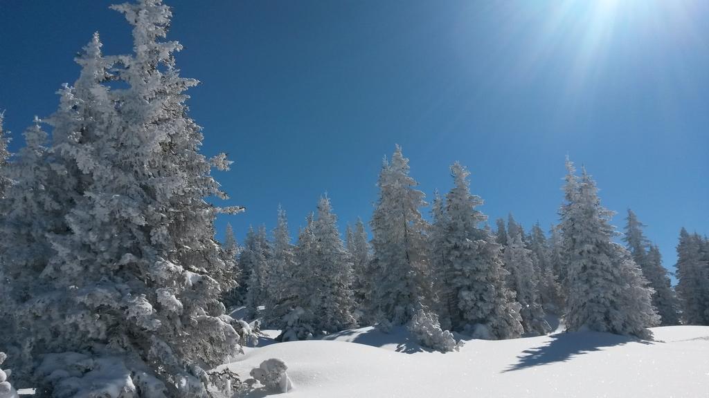 Sonnenhaus Sander Schruns Exteriör bild
