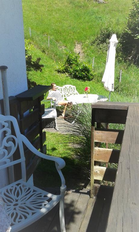Sonnenhaus Sander Schruns Rum bild