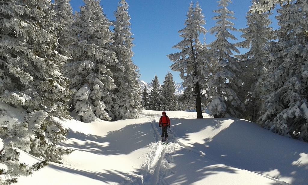 Sonnenhaus Sander Schruns Exteriör bild