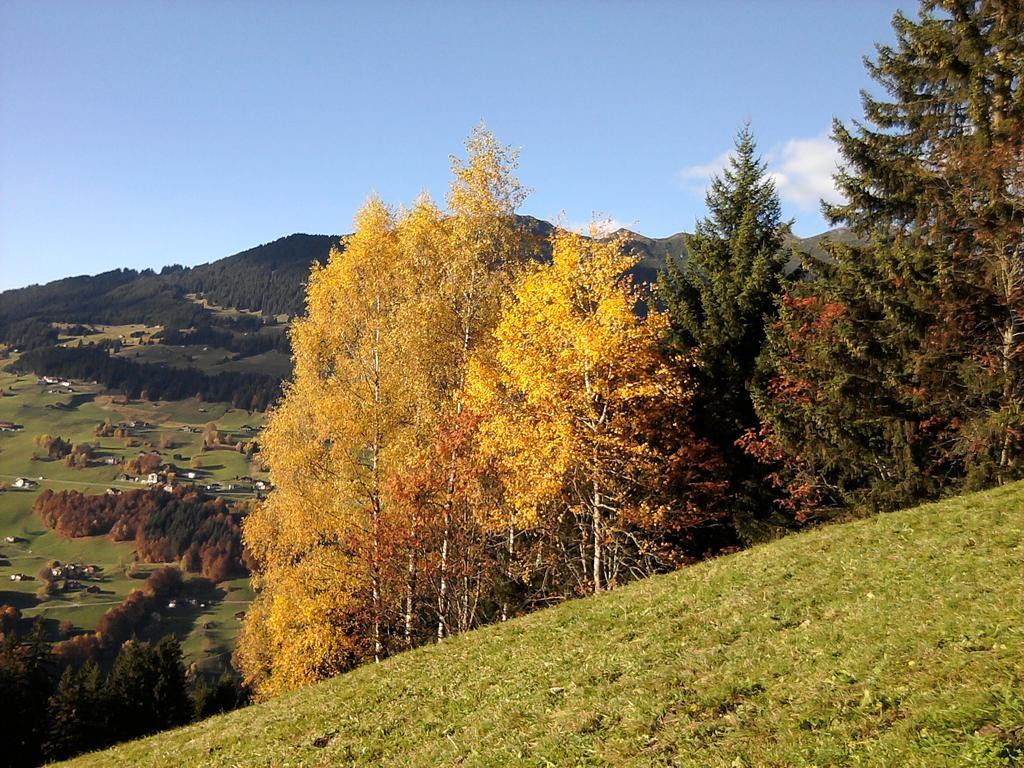 Sonnenhaus Sander Schruns Exteriör bild