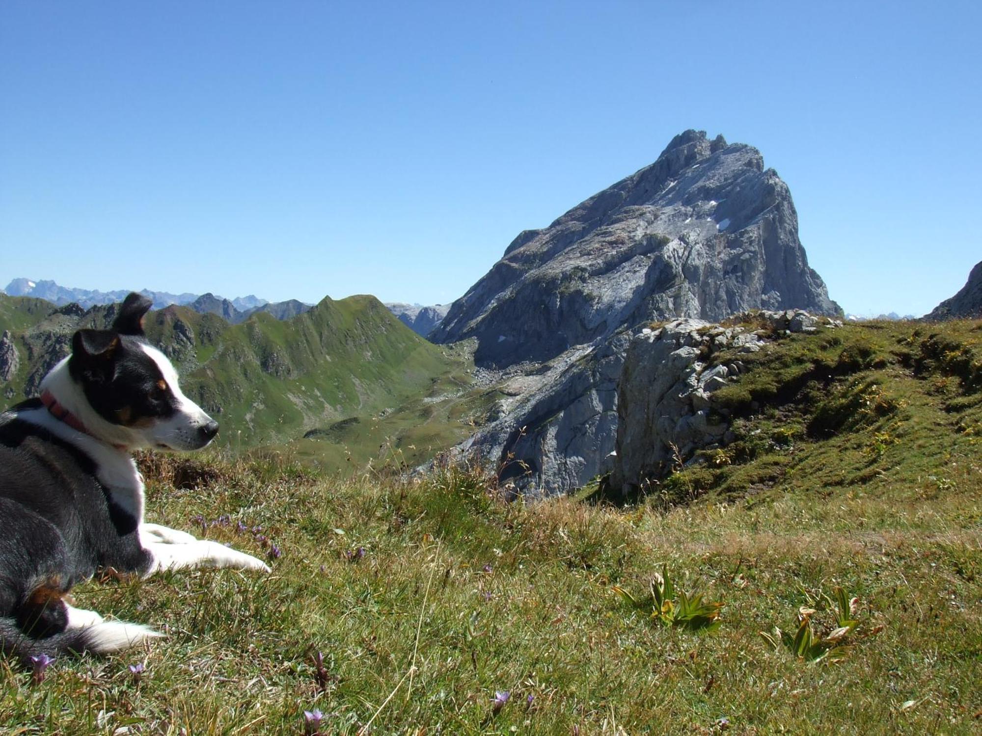 Sonnenhaus Sander Schruns Exteriör bild